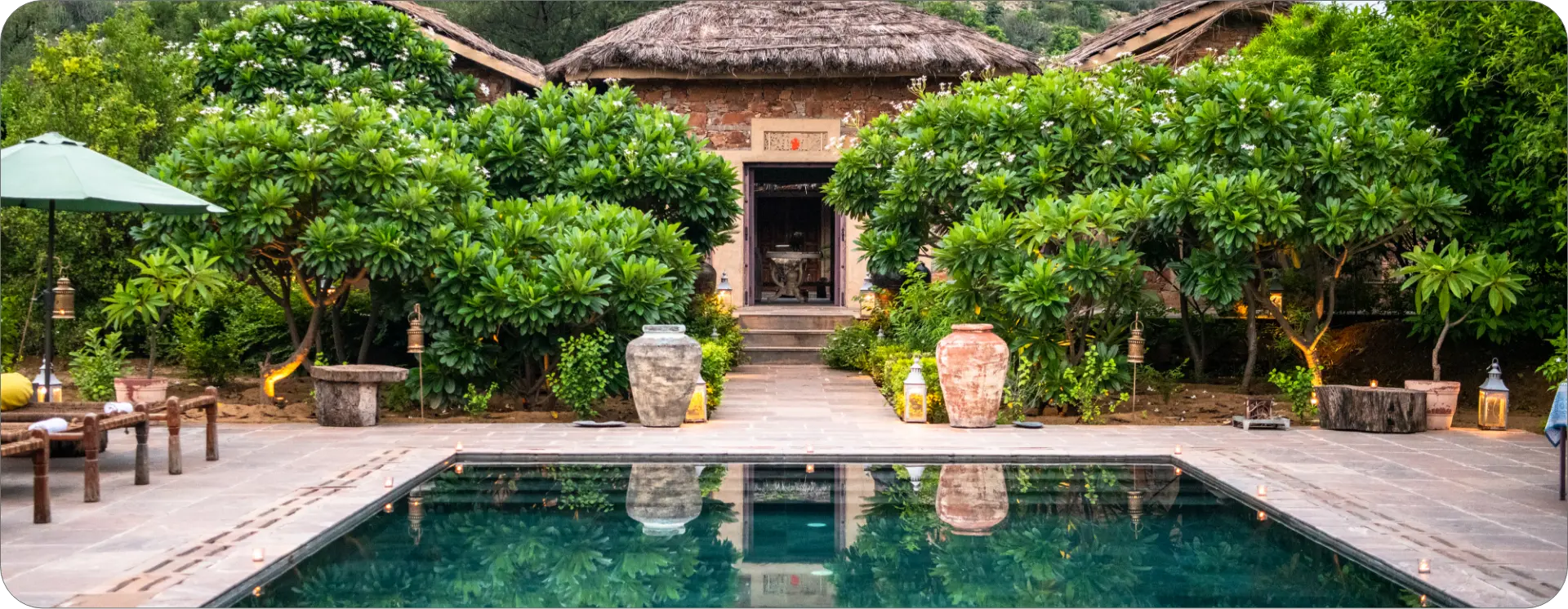 2023_07_27_Jaipur_Anopura_Bird_1097