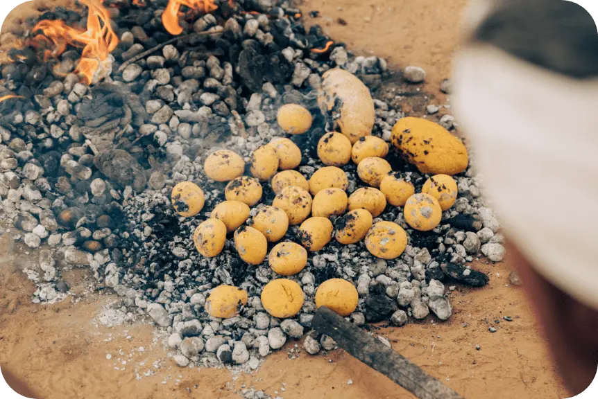 Bush Cooking Experience<br><br>