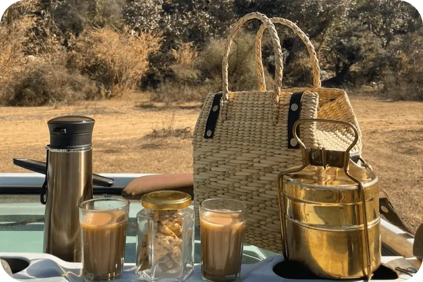 Journey to Mystery Hill and <br>Sunset Picnic