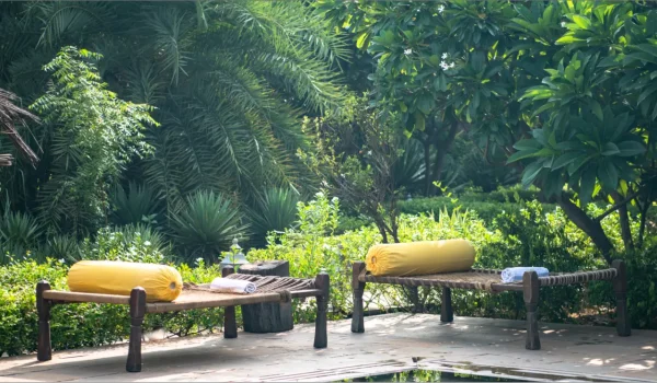 2023_07_27_Jaipur_Anopura_Bird_0295