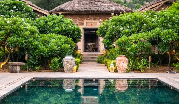 2023_07_27_Jaipur_Anopura_Bird_1097